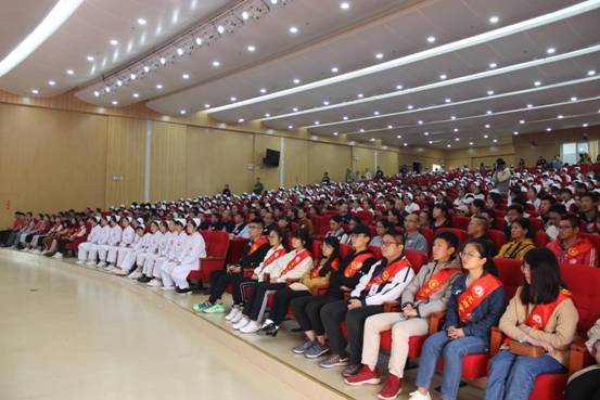 919b4aaa01e343eaef55147fc169a77